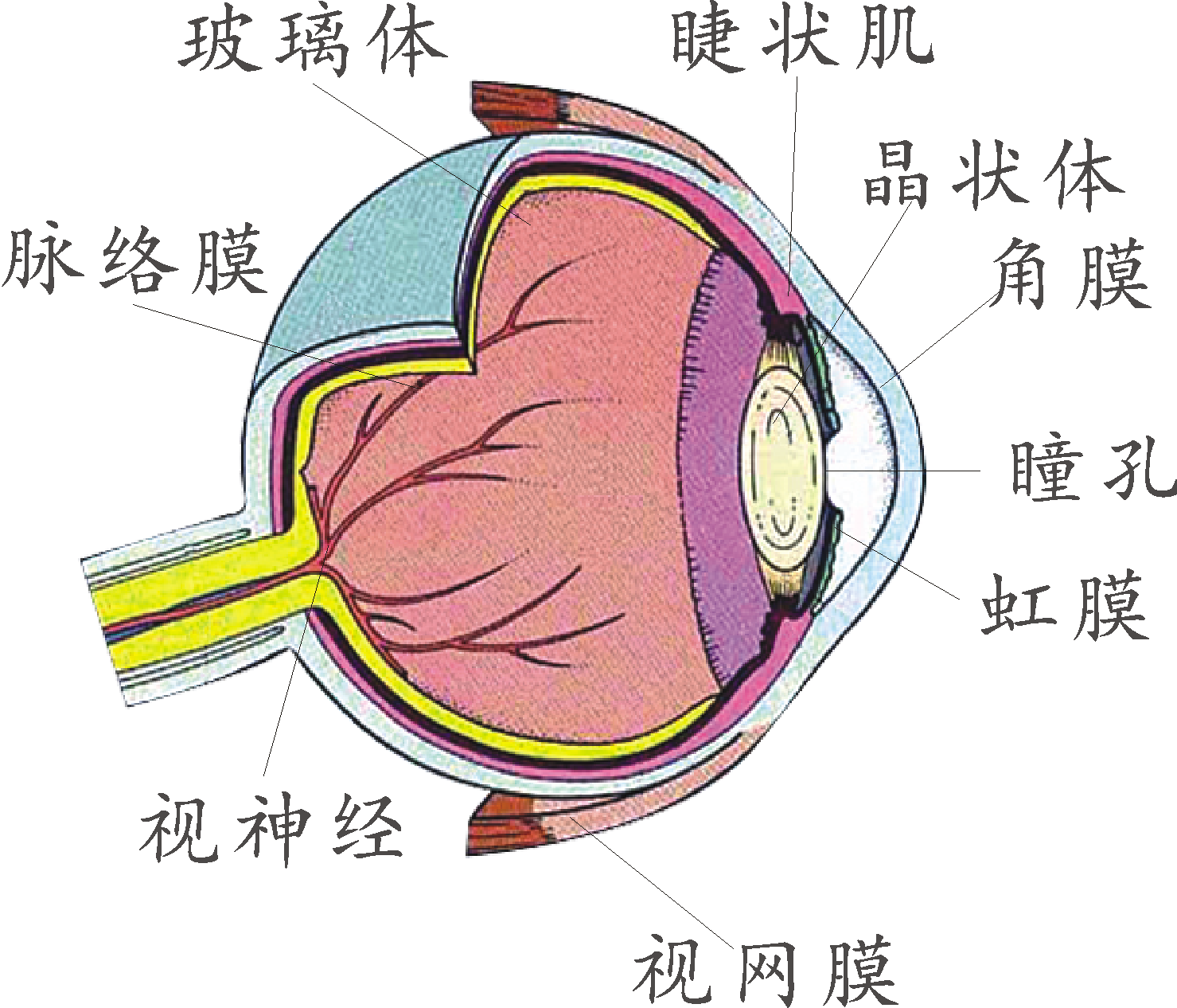 1645766535149107.png image.png